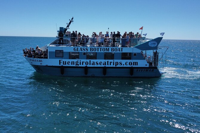 Dolphin watching on a Catamaran in Fuengirola - Leaving from Puerto Deportivo Fuengirola