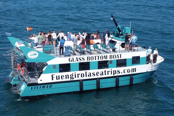 Dolphin watching on a Catamaran in Fuengirola - Watching wild dolphins without a guarantee