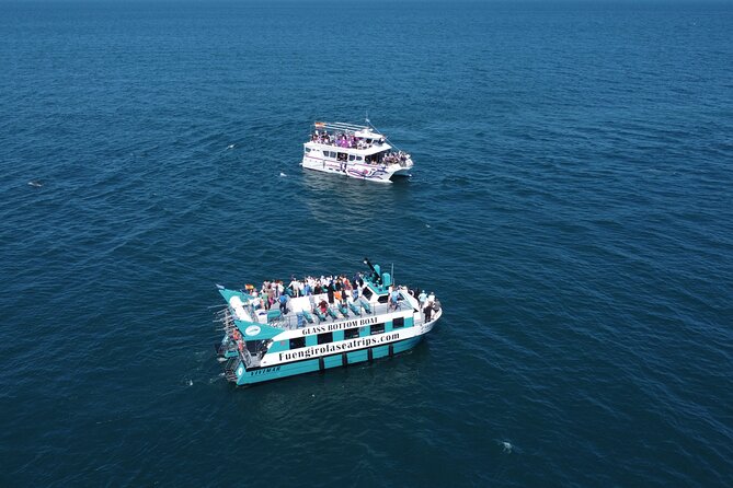 Dolphin watching on a Catamaran in Fuengirola - How much value do you get for $21.60?