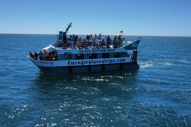 Dolphin watching on a Catamaran in Fuengirola - What the two-hour route is really like