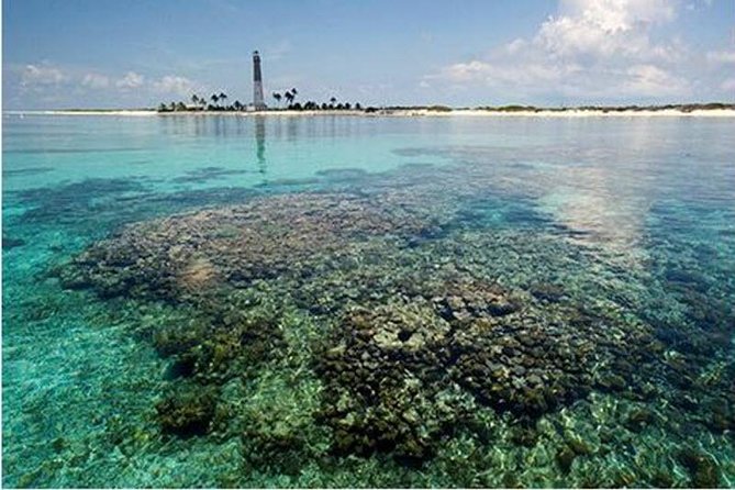 Dry Tortugas National Park Day Trip by Catamaran from Key West - Snorkeling in the coral reef