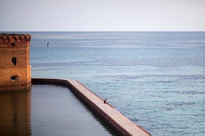 Dry Tortugas National Park Day Trip by Catamaran from Key West - The beach, birds, and island walking time