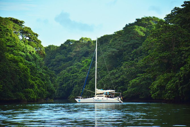 EAST Shared Cruise : OCÉANE Full day catamaran to Ile aux Cerfs - Starting at Pointe Maurice at 9:00 am