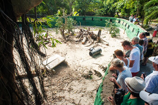 Eco Exploration: Golf Cart Adventure and Catamaran Cruise - Why this Punta Cana day is different