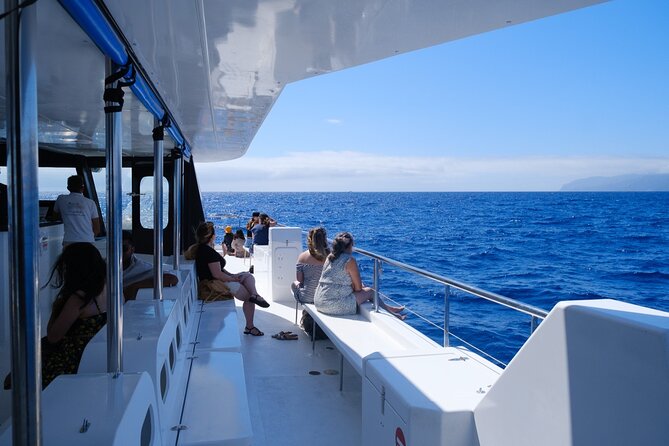 Eco-Friendly Catamaran Dolphin and Whale Watching - Leaving Funchal for the open Atlantic