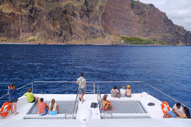 Eco-Friendly Catamaran Dolphin and Whale Watching - The ten-minute viewing limit