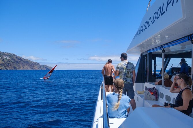 Eco-Friendly Catamaran Dolphin and Whale Watching - How the dolphin and whale search works
