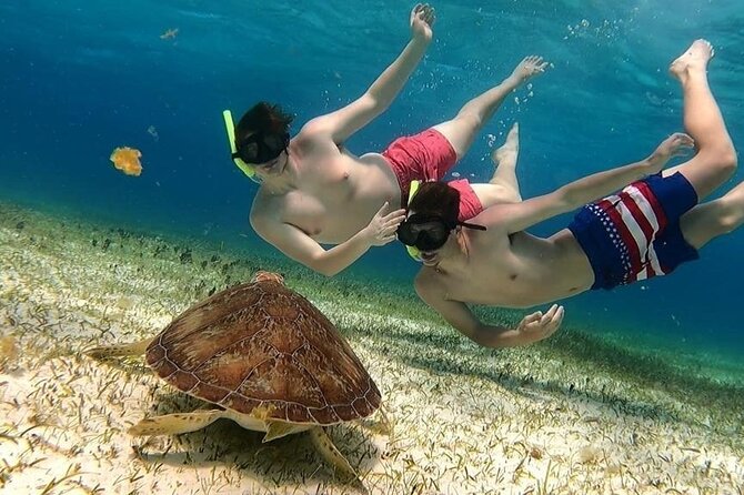 El Cielo Cozumel Snorkel tour by Catamaran - Key points to know before you book