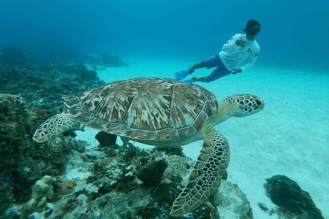 El Cielo Cozumel Snorkel tour by Catamaran - What the catamaran is really like