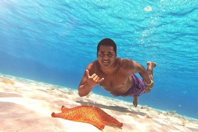El Cielo Cozumel Snorkel tour by Catamaran - Columbia Reef and Turtle Bay