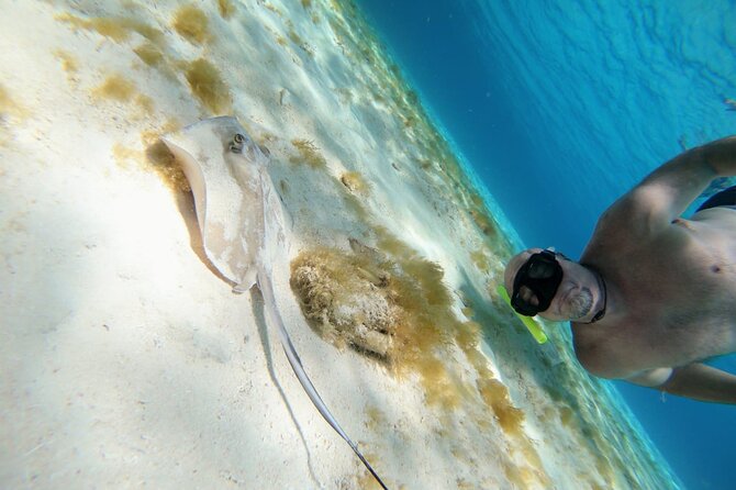 El Cielo Cozumel Snorkeling trip by Catamaran - Boat size, group size, and possible substitutions