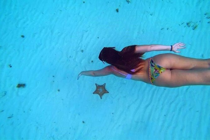 El Cielo Cozumel Snorkeling trip by Catamaran - El Cielo and El Cielito: shallow water and starfish