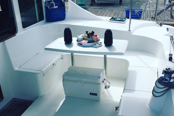 Elegance Catamaran turtles swim and lunch cruise - Key points at a glance