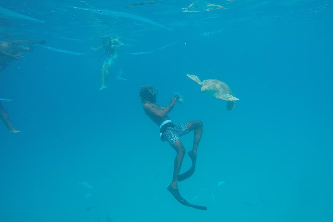Elegance Catamaran turtles swim and lunch cruise - Stop three: Bajan lunch in a quiet bay