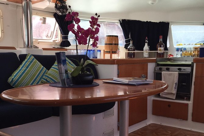 Elegance Catamaran turtles swim and lunch cruise - Who will enjoy this cruise most?