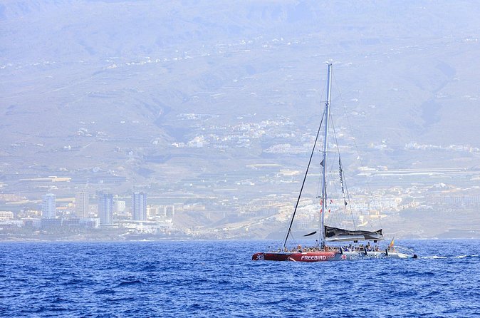 Exclusive Freebird Catamaran Whale and Dolphin Cruise to Caleta - Practical details before you go