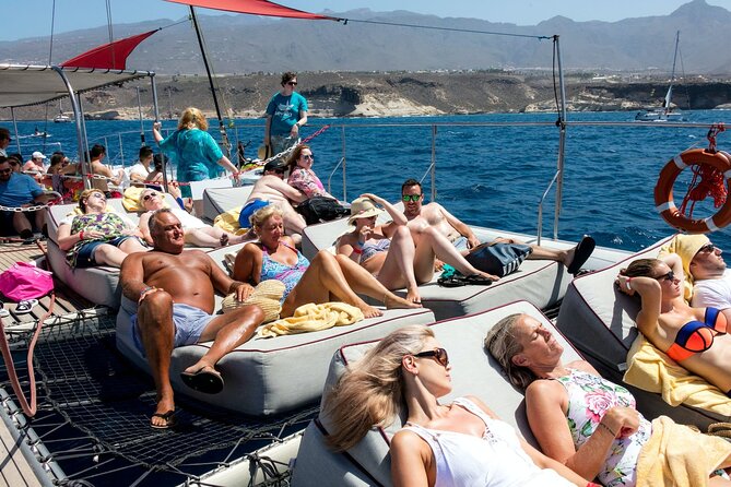Exclusive Freebird Catamaran Whale & Dolphin to Masca From South - The Los Gigantes cliffs from the water