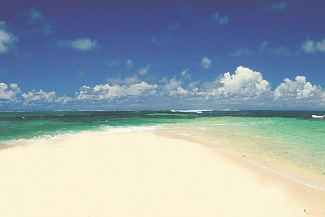 Exclusive Private Catamaran Adventure: Ile aux Cerf (Full Day Cruise incl Lunch) - Barbecue lunch and the open drink service