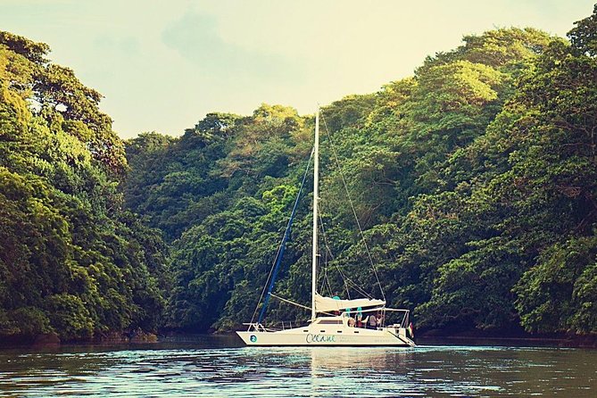 Exclusive Private Catamaran Adventure: Ile aux Cerf (Full Day Cruise incl Lunch) - Who should book this private cruise?