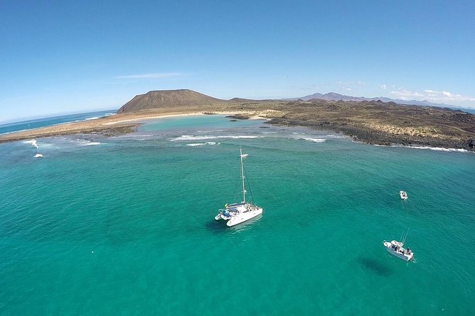 Exclusive Sailing Catamaran Experience to Lobos Island with lunch - Should you book the Lobos Island catamaran?