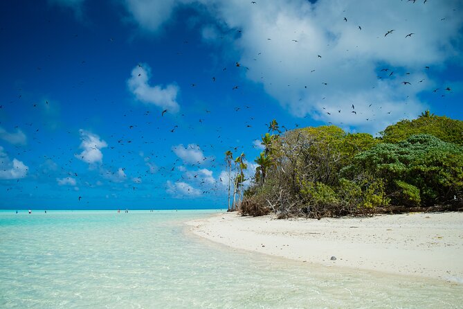 Excursion to Tetiaroa by Catamaran Visit Lunch Snorkeling - Arriving at Tetiaroa and walking with a guide