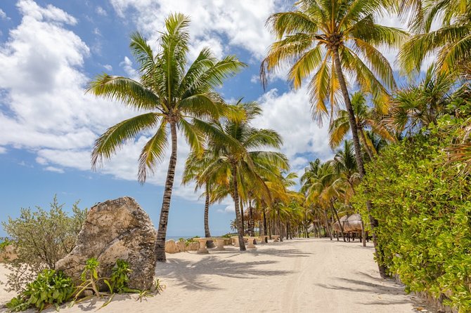 Experience an amazing ecological park tour & explore Isla Mujeres by catamaran. - Who should book this Cancun package?