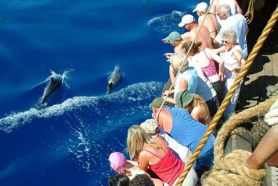Explore Alanya's Beauty Catamaran Boat Tour - What the $14 price really includes