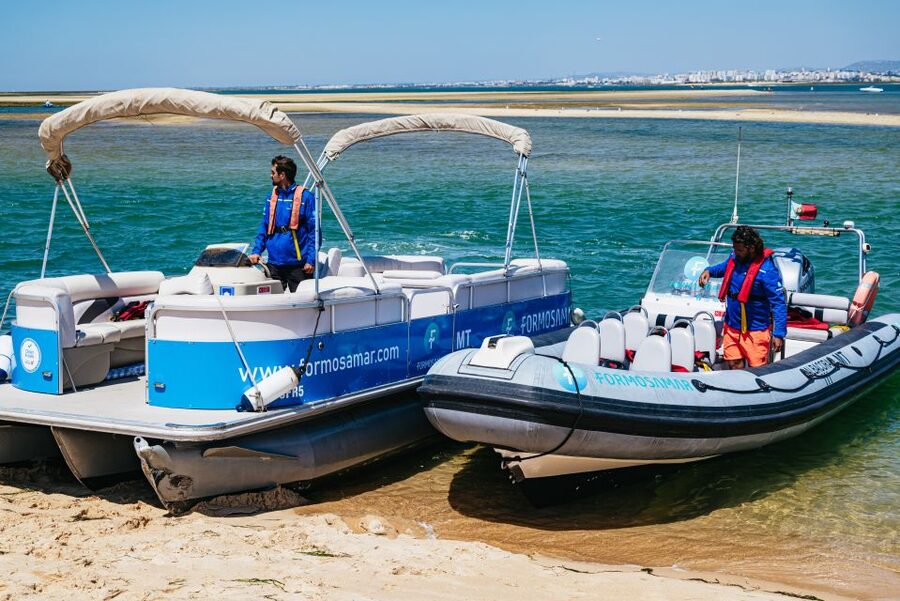 Faro: Deserta Island and Farol Island Catamaran Boat Trip - The return ride and the wildlife story