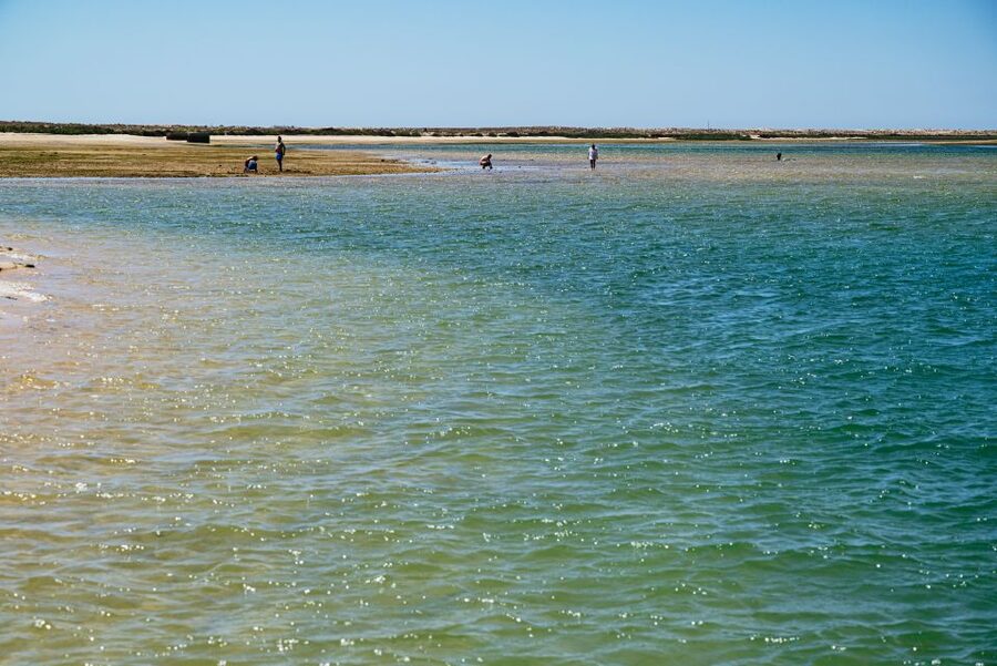 Faro: Deserta Island and Farol Island Catamaran Boat Trip - Is three hours enough for the price?
