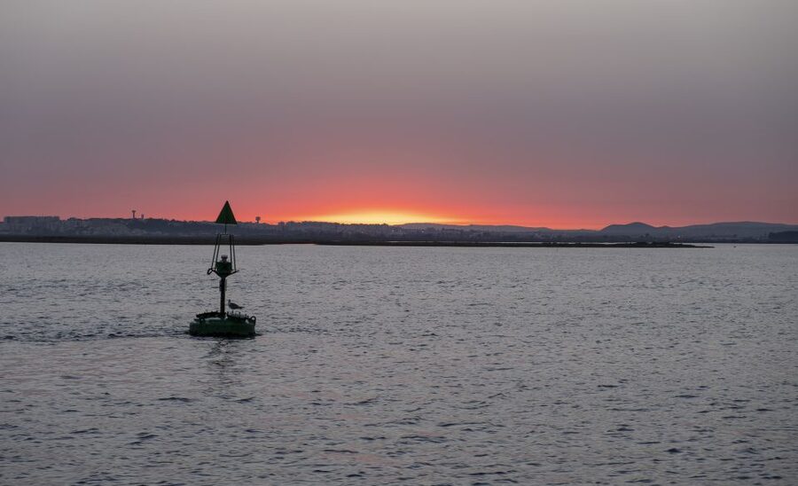 Faro: Ria Formosa Guided Sunset Tour by Catamaran - Key points to know before you book