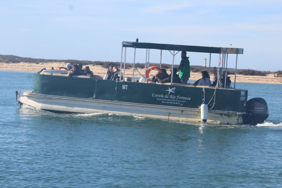 Faro: Ria Formosa Guided Sunset Tour by Catamaran - The guides can shape the mood