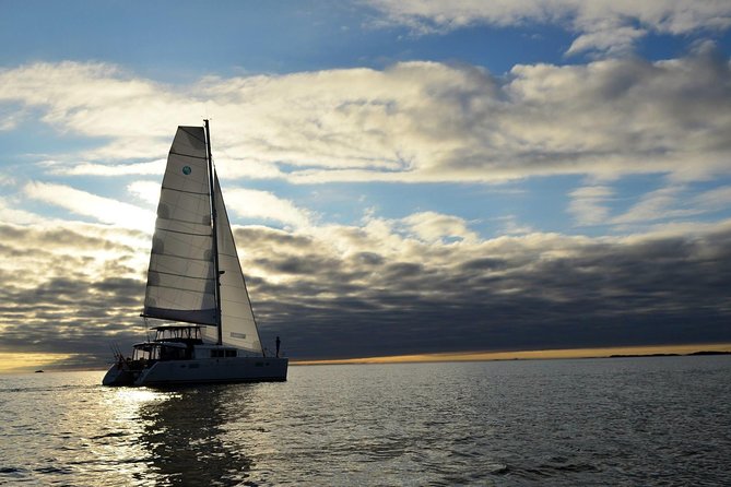 Fishing Trip with Luxury Catamaran in Tromso - Leaving Tromsø for a fishing run