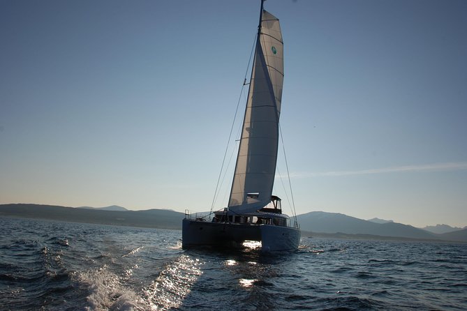 Fishing Trip with Luxury Catamaran in Tromso - Who will enjoy this most