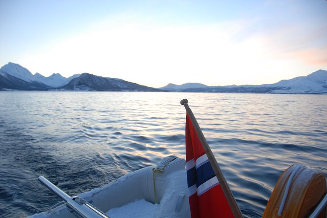 Fjord Cruise with Luxury Catamaran in Tromso - Is $214.22 a fair price?