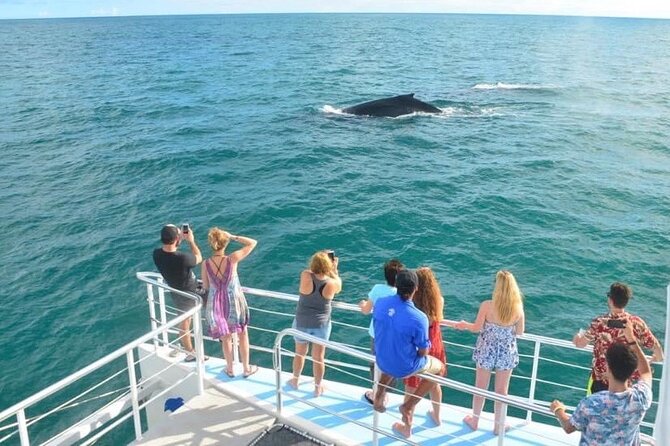 Flamingo Family Fun Catamaran Snorkel:Comfortable shaded seating - A four-hour afternoon from Playa Flamingo