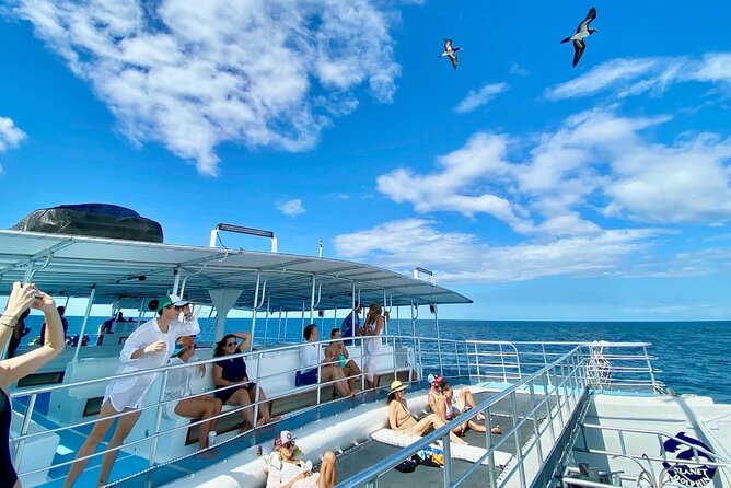 Flamingo Family Fun Catamaran Snorkel:Comfortable shaded seating - Why the shaded catamaran matters