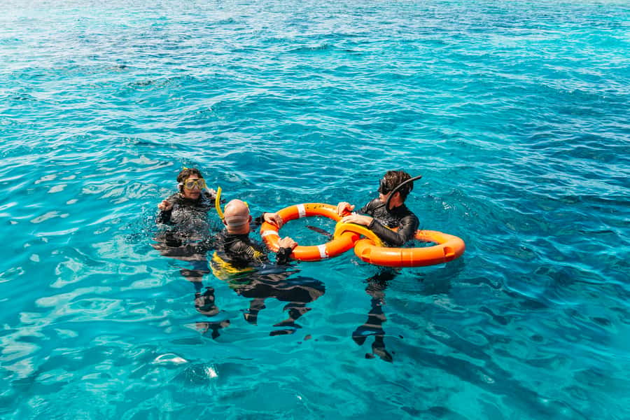From Cairns: Great Barrier Reef Cruise by Premium Catamaran - At a glance: what makes this reef trip worth considering