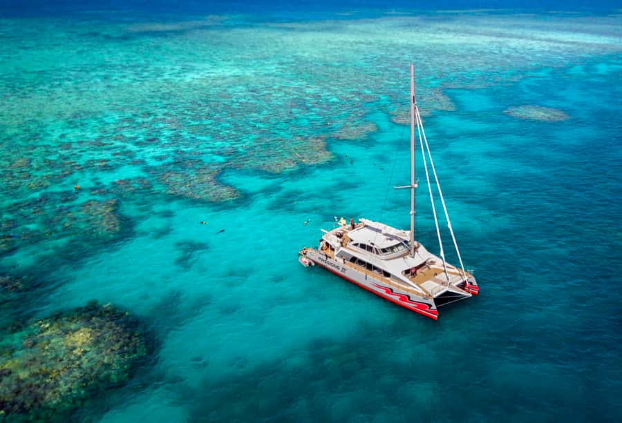 From Cairns: Great Barrier Reef Cruise by Premium Catamaran - First water session: two hours to explore