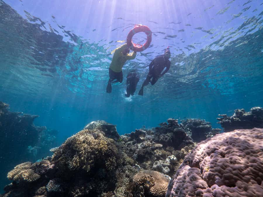 From Cairns: Great Barrier Reef Cruise by Premium Catamaran - The return journey and the eco message