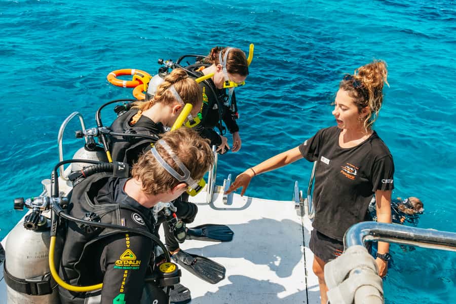 From Cairns: Great Barrier Reef Cruise by Premium Catamaran - Boat comfort, group size, and safety