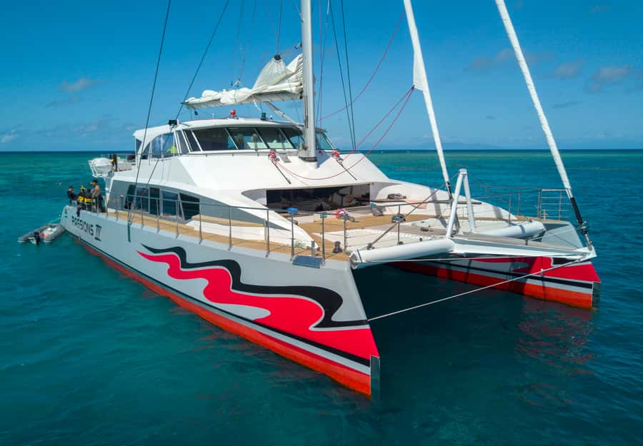 From Cairns: Great Barrier Reef Cruise by Premium Catamaran - Choosing between Flynn, Milln, Norman, and Hastings reefs