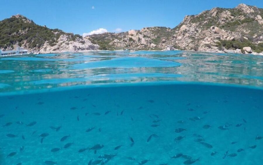 From Cannigione: Catamaran tour among La Maddalena islands - Should you book it?