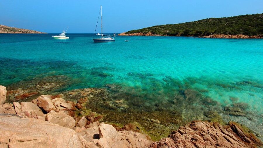From Cannigione: Catamaran tour in La Maddalena Archipelago - Swimming and snorkelling in clear water