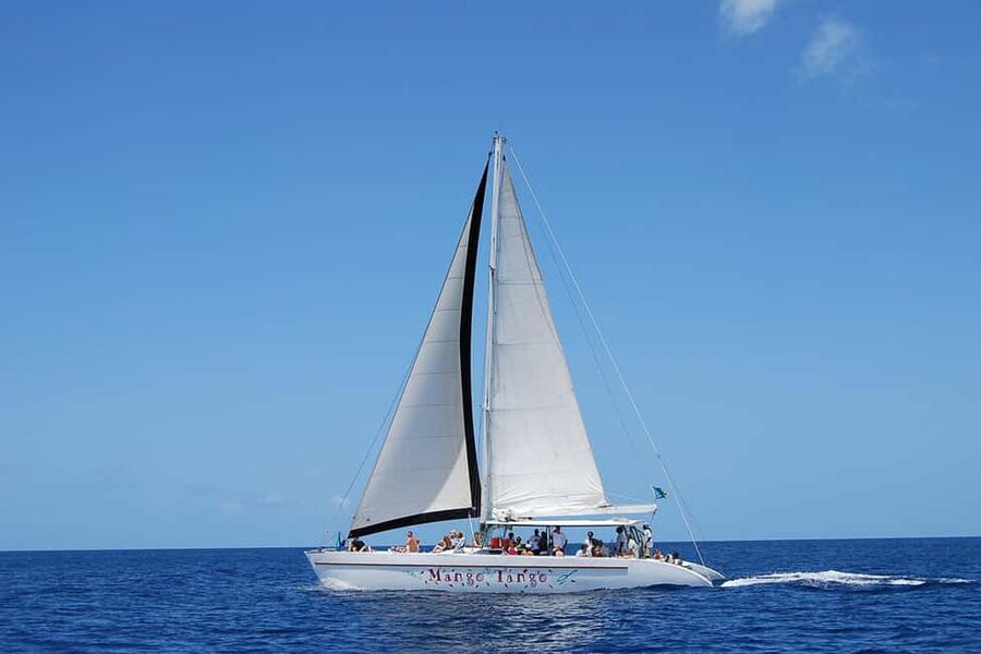 From Castries: Full-Day Catamaran Tour to Soufriere - Key Points to Know Before You Book
