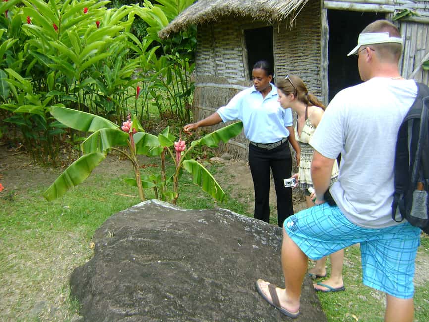From Castries: Full-Day Catamaran Tour to Soufriere - Toraille Waterfall and the Short Walk