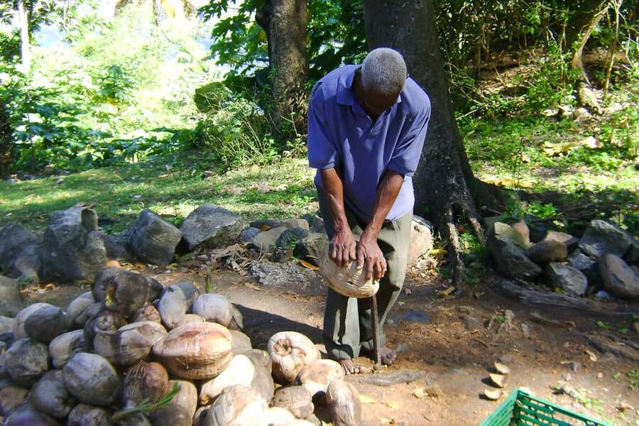 From Castries: Full-Day Catamaran Tour to Soufriere - Creole Lunch at Morne Coubaril Estate