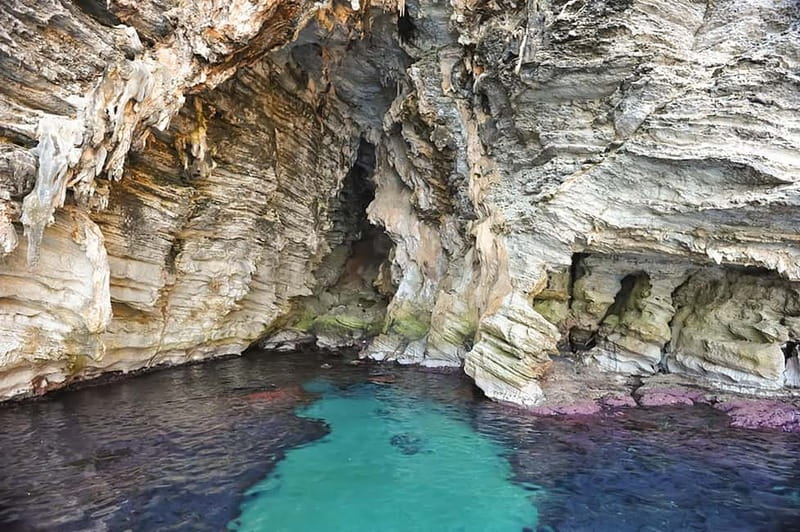 From Cefalù: Catamaran Excursion to Zingaro and Scopello - Who will enjoy this catamaran day most