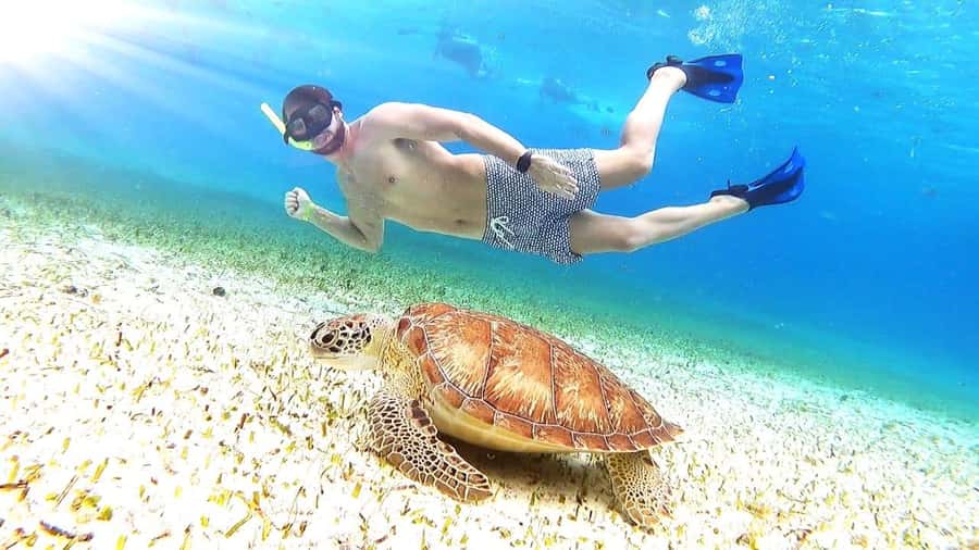 From Cozumel: El Cielo Beach by Catamaran Snorkeling Tour - Key points to know before booking