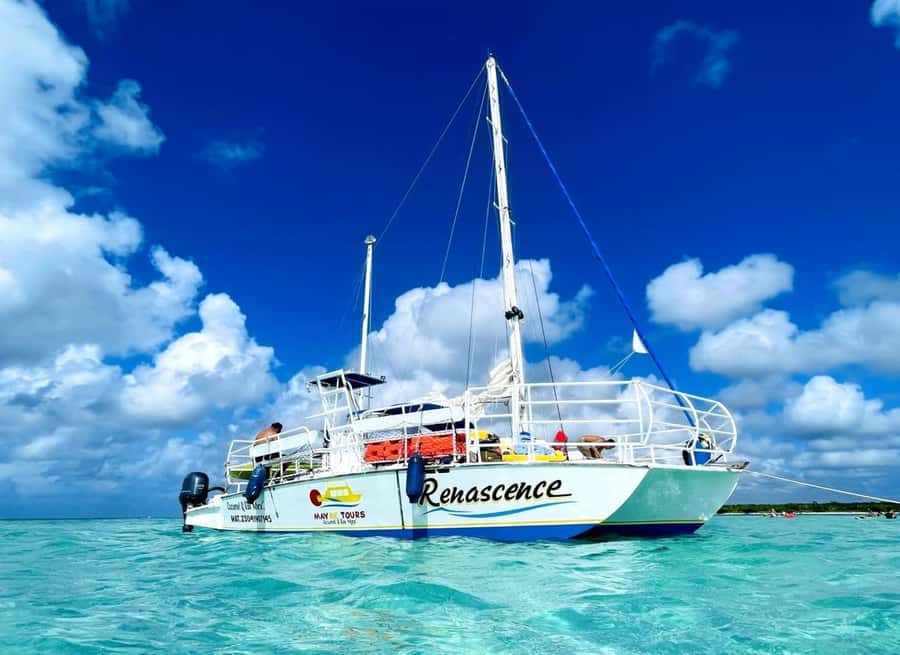 From Cozumel: El Cielo Beach by Catamaran Snorkeling Tour - Why this four-hour Cozumel trip works