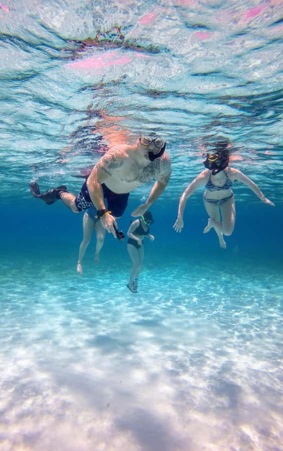 From Cozumel: El Cielo Beach by Catamaran Snorkeling Tour - Is $81 a good price for the morning?
